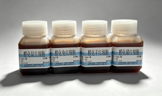 醛化红细胞2.jpg